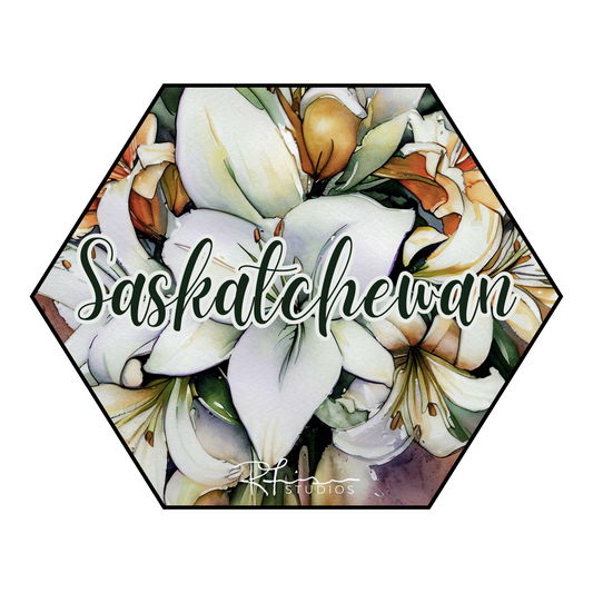 BOOBOO CLEARANCE - Scripty Saskatchewan - T SHIRTS