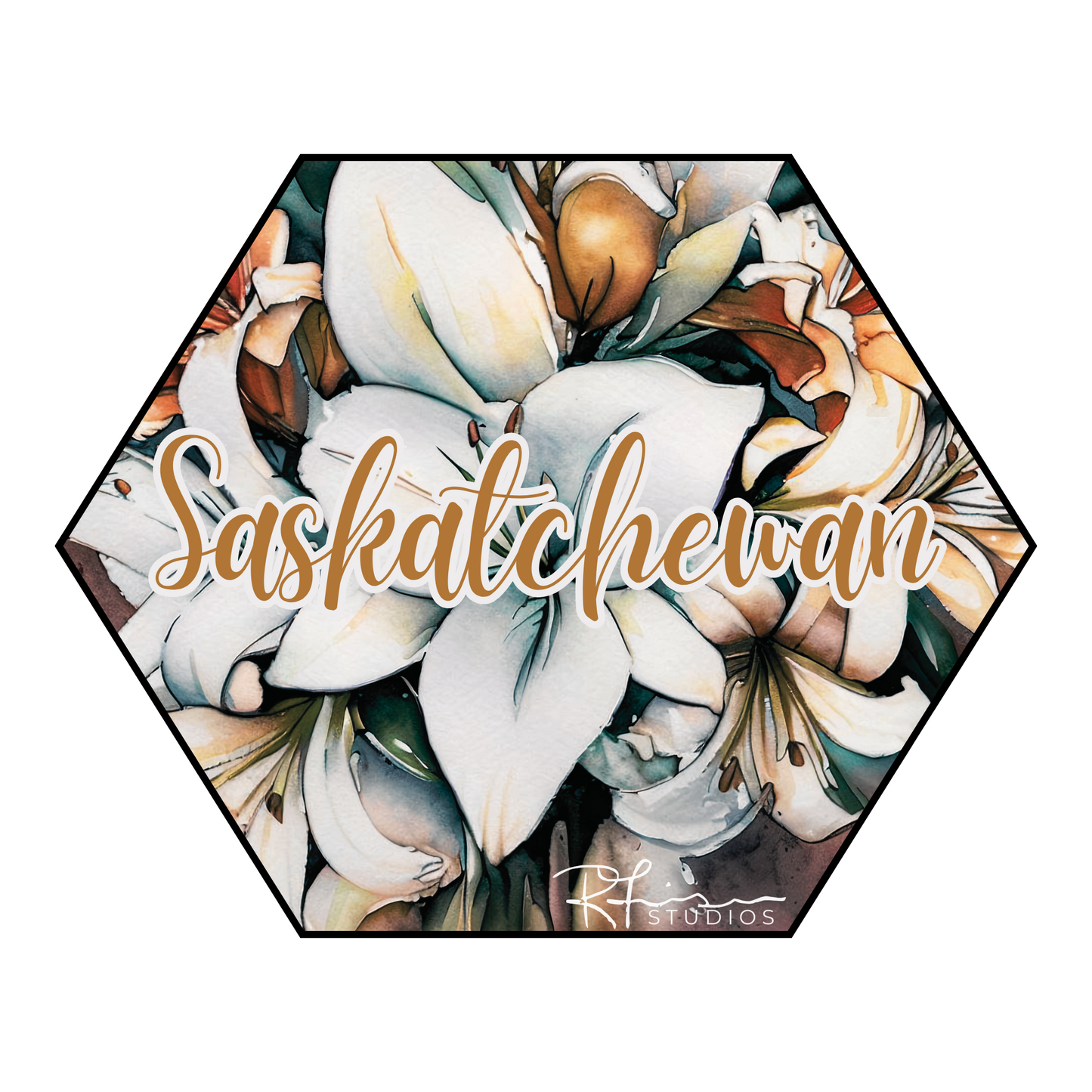 BOOBOO CLEARANCE - Scripty Saskatchewan - Hoodies