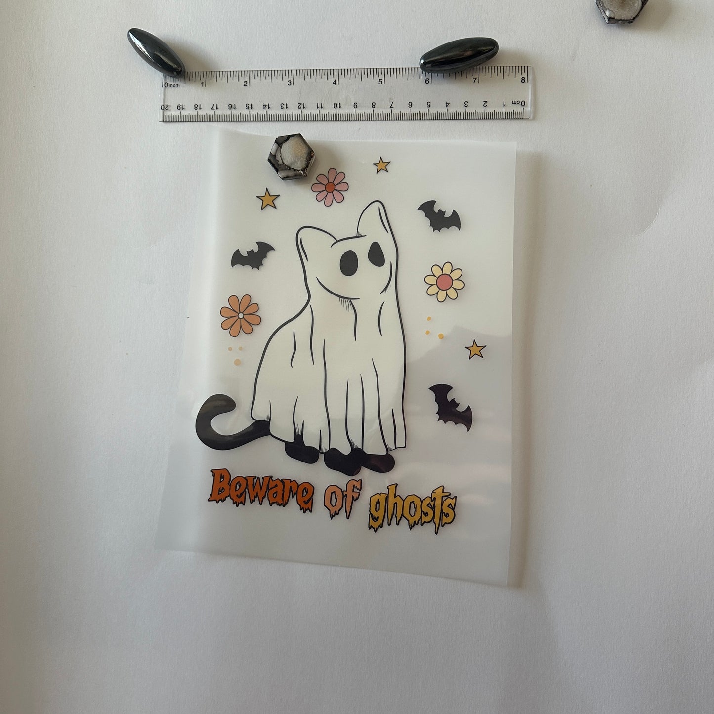 Clearance Transfers - cat - beware of ghosts large