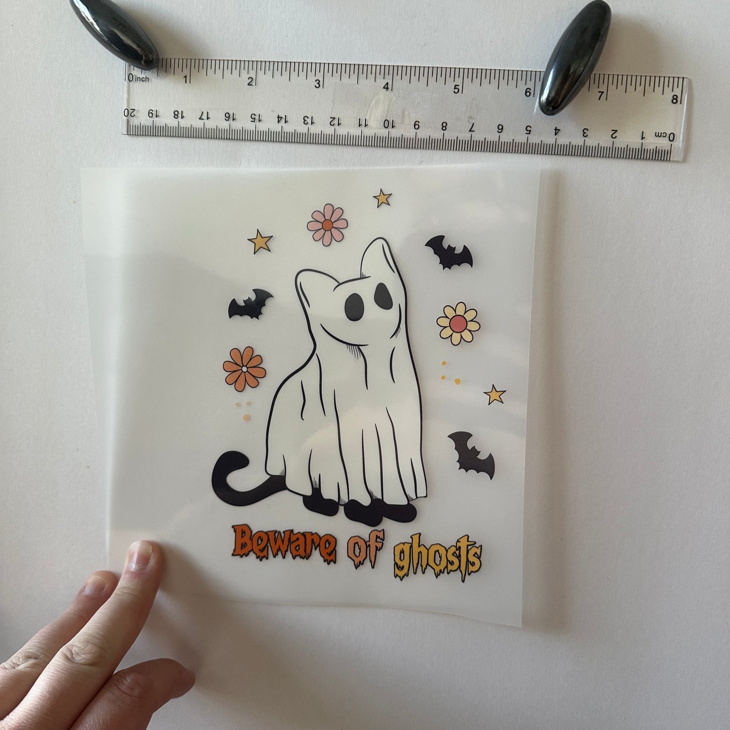 Clearance Transfers - cat - beware of ghosts small