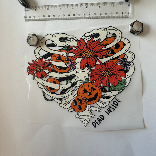 Clearance Transfers - Heart shaped thorax