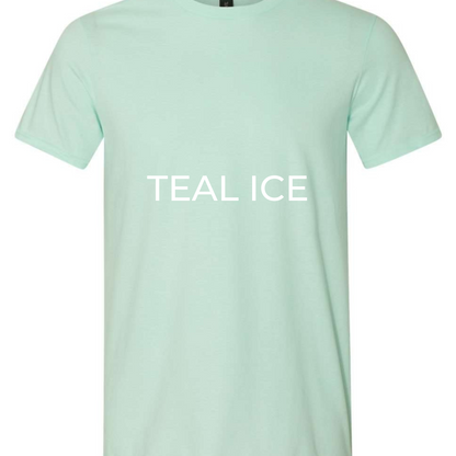 Adult T-Shirts - CLEARANCE OPTIONS AND DESIGNS