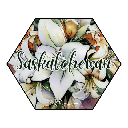 BOOBOO CLEARANCE - Scripty Saskatchewan - T SHIRTS