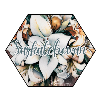 BOOBOO CLEARANCE - Scripty Saskatchewan - T SHIRTS