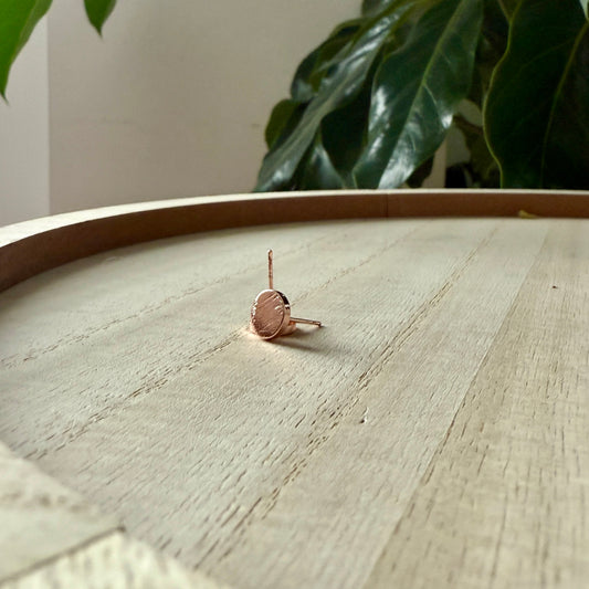 Solid Circle 8mm Stud Earrings - Hypoallergenic Surgical Stainless Steel