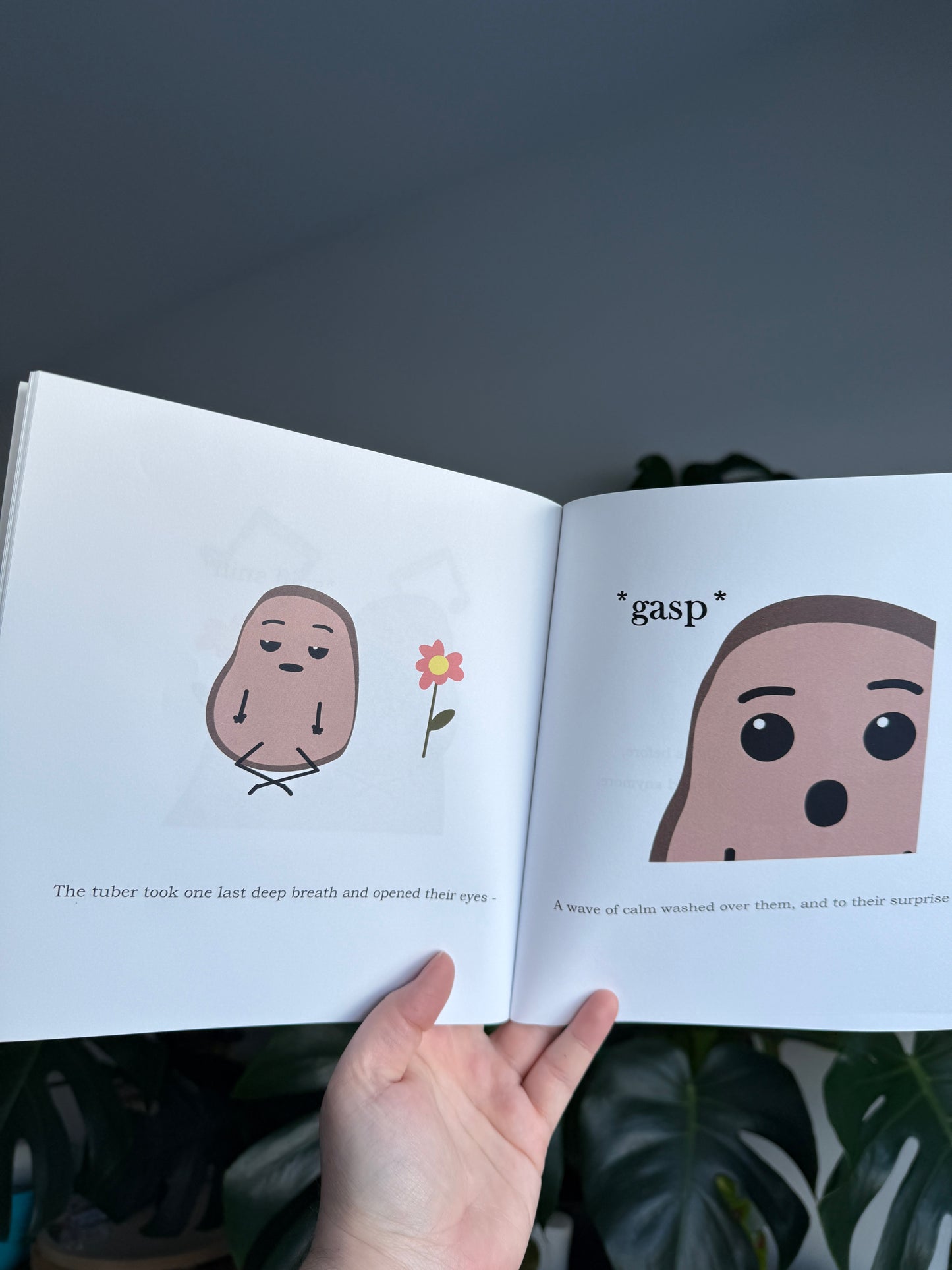 The Sad Potato - a book about emotions and calming down
